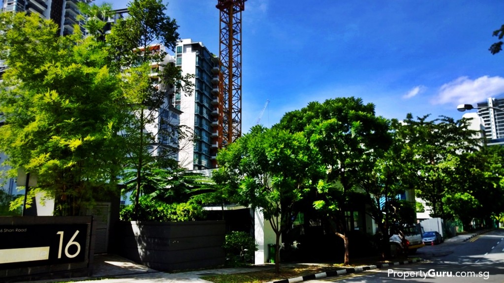 12 on Shan development site