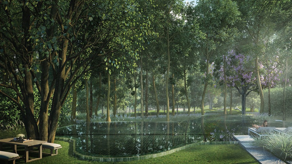 Thyme Kaoyai - Per3 highlight-02-003