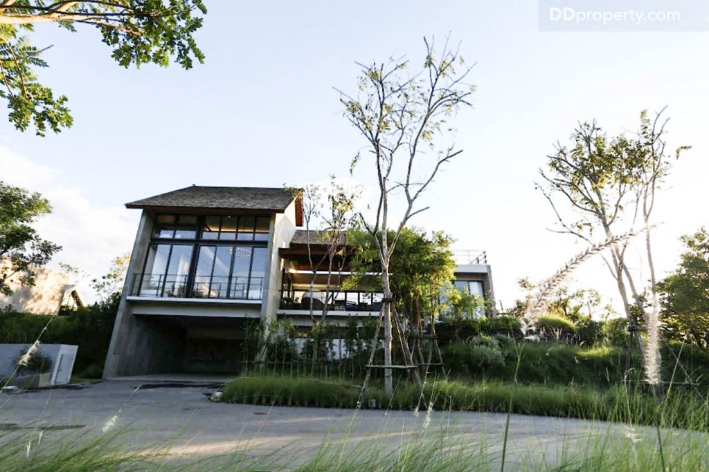 Thyme Kaoyai - Prann1.2 Prann-001