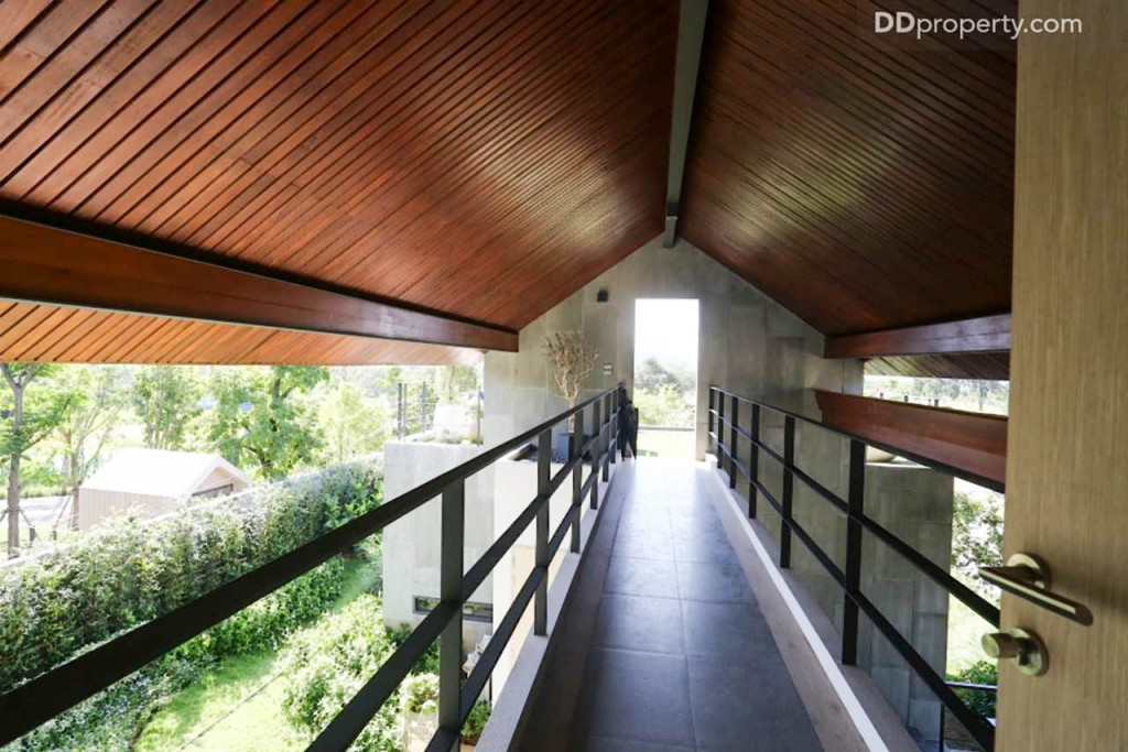 Thyme Kaoyai - Prann59 Prann-064