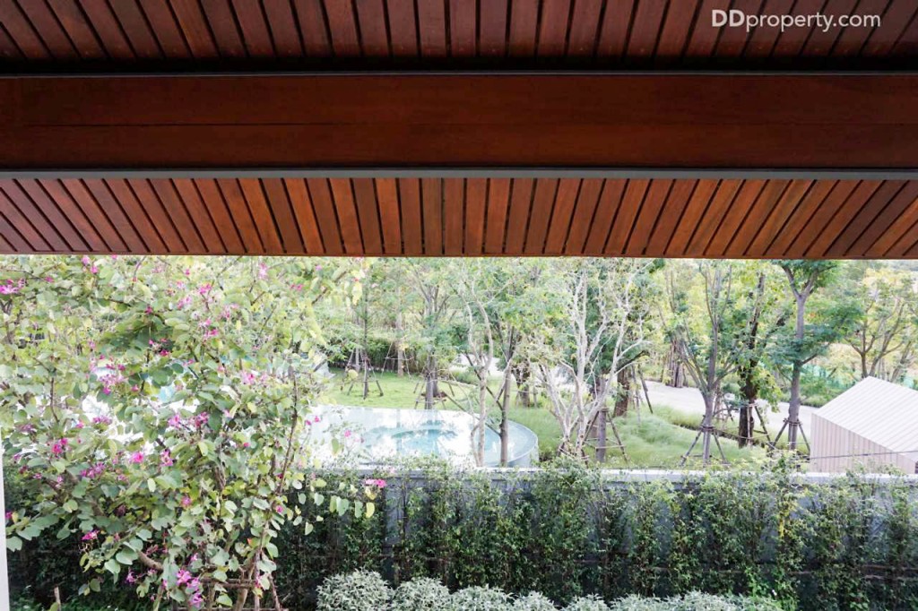 Thyme Kaoyai - Prann60 DSC02718-065