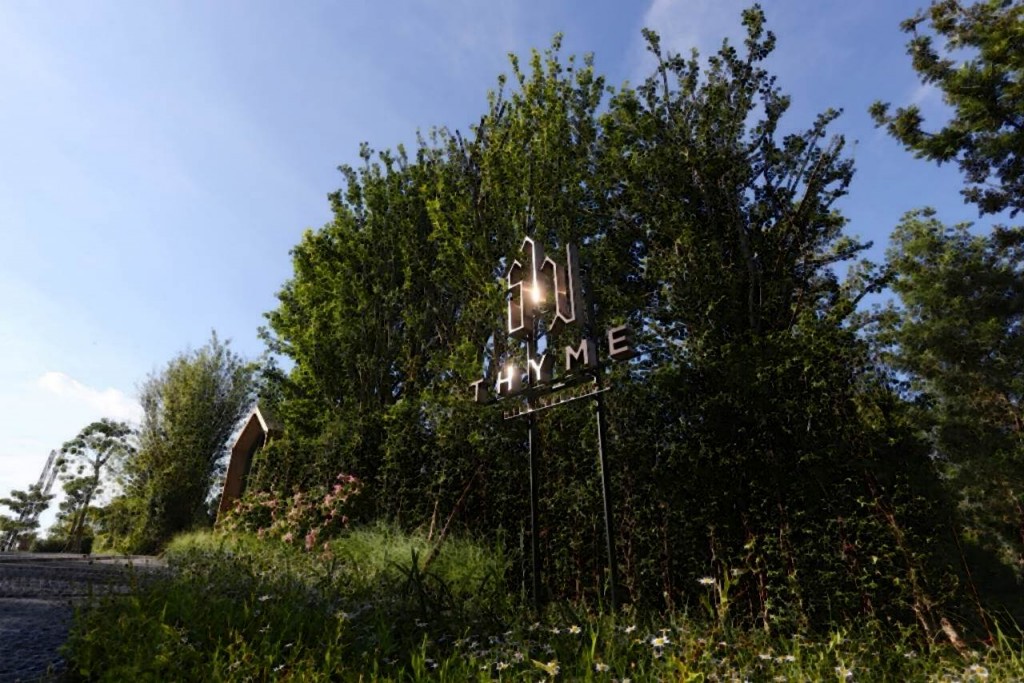 Thyme Kaoyai - ProjectThyme Kaoyai - Project1 front thyme-001-001
