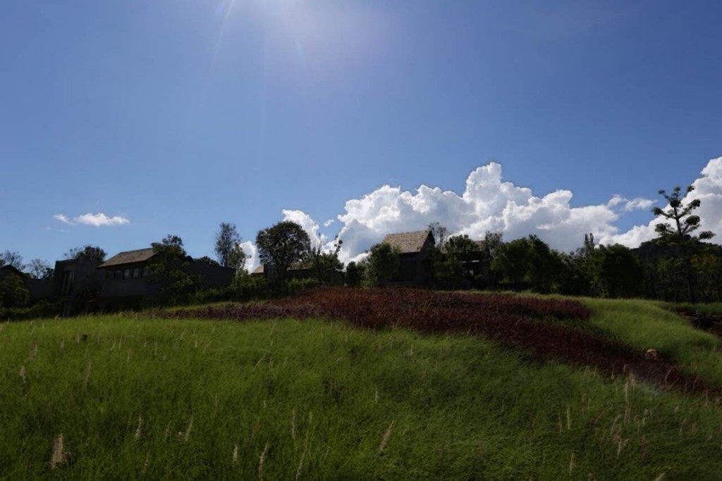 Thyme Kaoyai - ProjectThyme Kaoyai - Project2 outdooe thyme 2-002-002