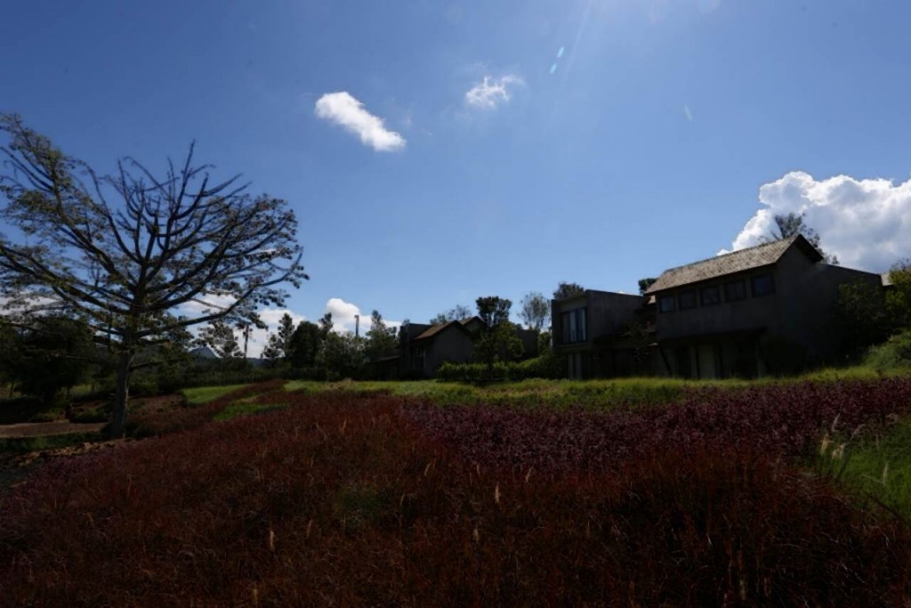 Thyme Kaoyai - ProjectThyme Kaoyai - Project3 outdoor thyme 3-003-003