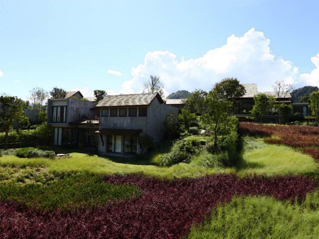 Thyme Kaoyai - ProjectThyme Kaoyai - Project4 outdoor thyme 4 steb floor-004-004