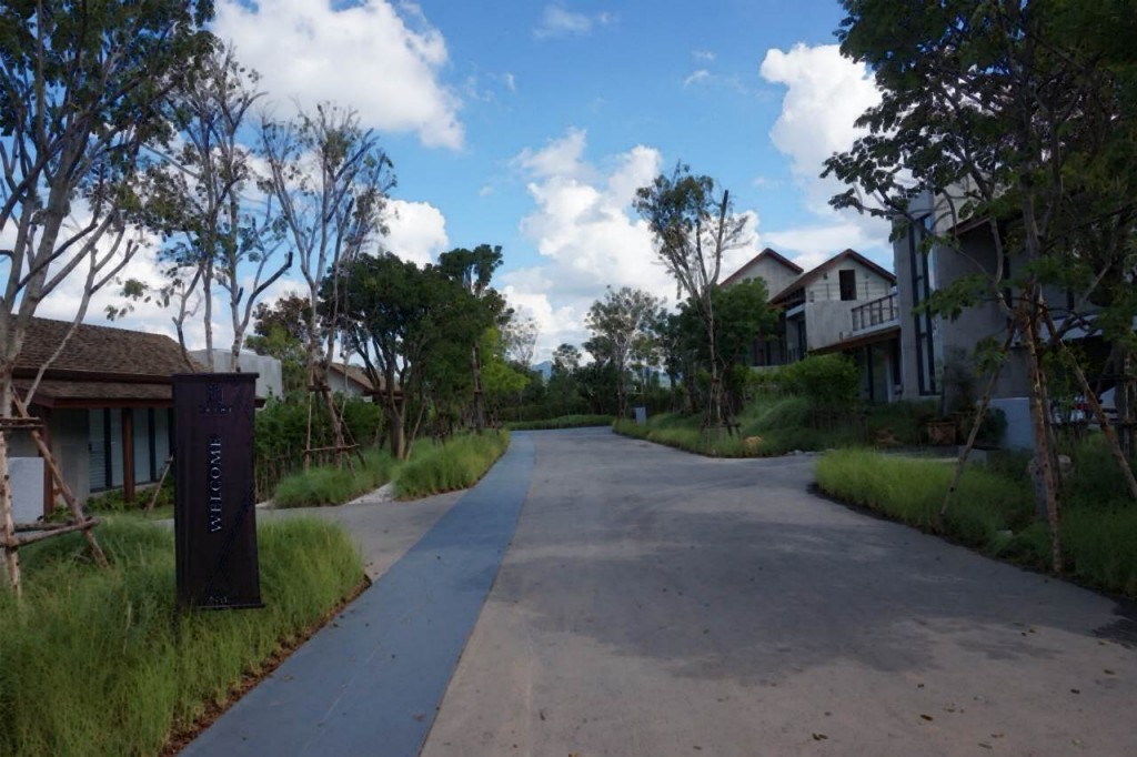 Thyme Kaoyai - ProjectThyme Kaoyai - Project6 DSC02597-006-006