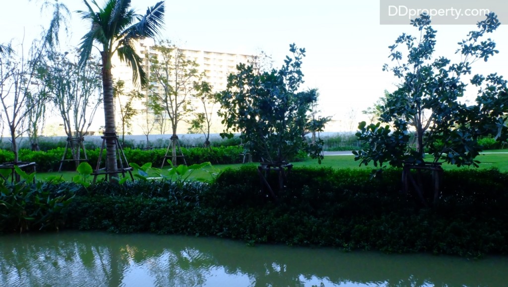 Baan Thew Talay Blue Sapphire