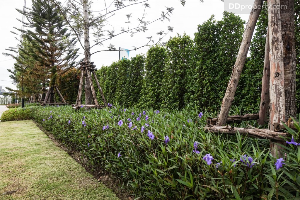 Modi villa Rangsit - Project9 DSC03186-010