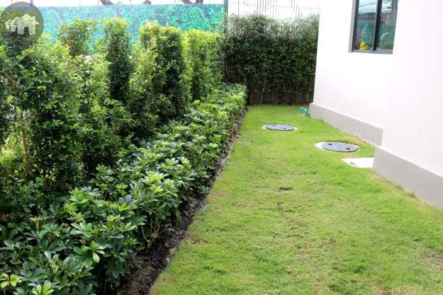 สนามหญ้า ภายในบ้าน โครงการ ภัสสร เพรสทีจ บางนา-สุวรรณภูมิ Passorn Prestige Bangna Suvarnabhumi