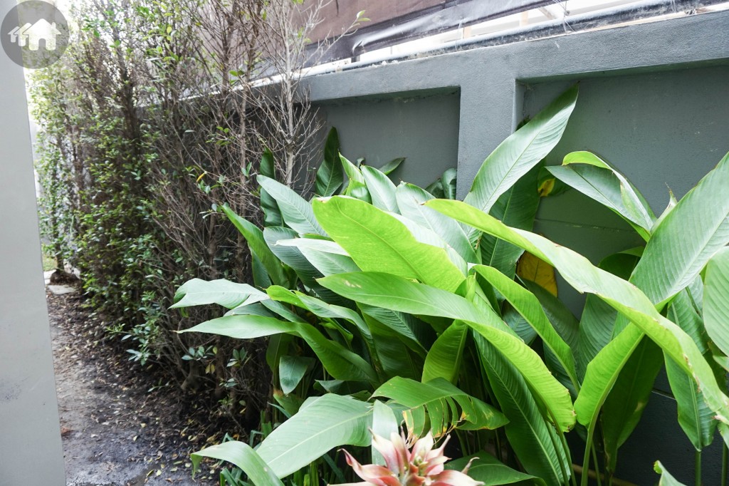 The Gentry Sukhumvit Ex.ManhattonDSC03809-016