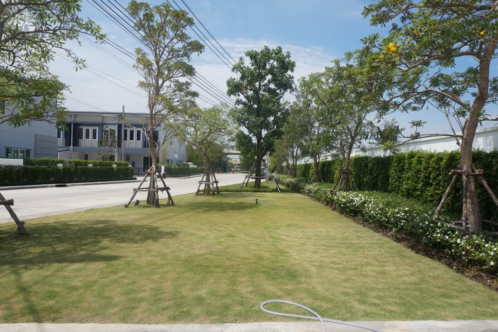 Chuan Chuen Town KanchanapisekBangyai Project4.5 DSC04837-005