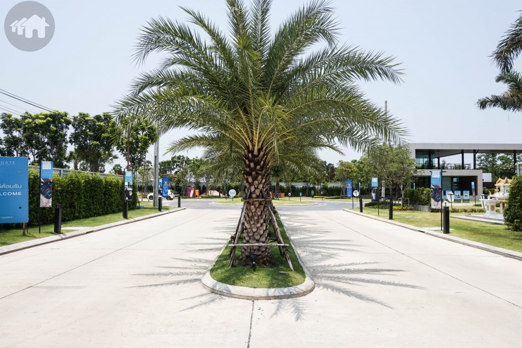 S gate changwattana Kanchanapisek Project3 DSC04980-003