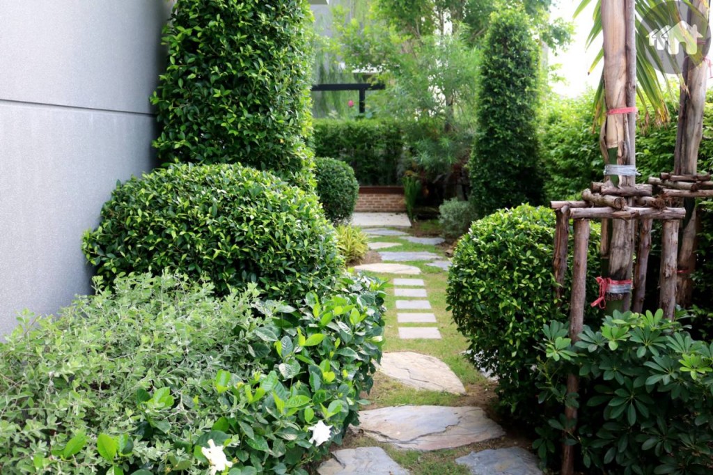 สวนของบ้านยูนิต The Flow ของโครงการ วารีโอ สุวรรรภูมิ Vario Suvarnabhumi