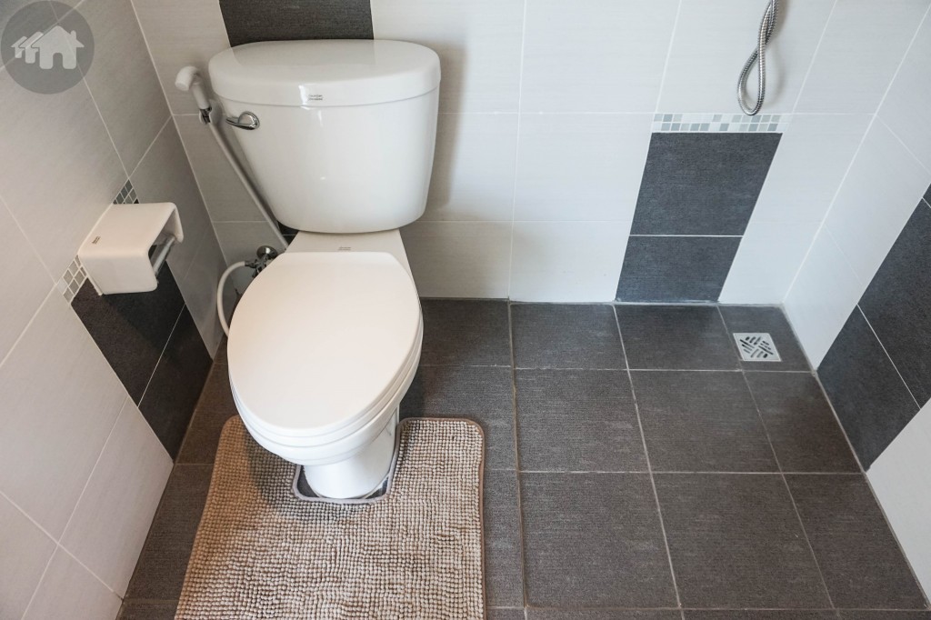 Baan Lumpini Townville Lat Pladuk  Bangpai Station Ex HomeDSC05250-015