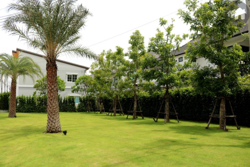 สวนหย่อมโครงการ โกลเด้น ทาวน์ บางนา – สวนหลวง Golden Town Bangna Suanluang 