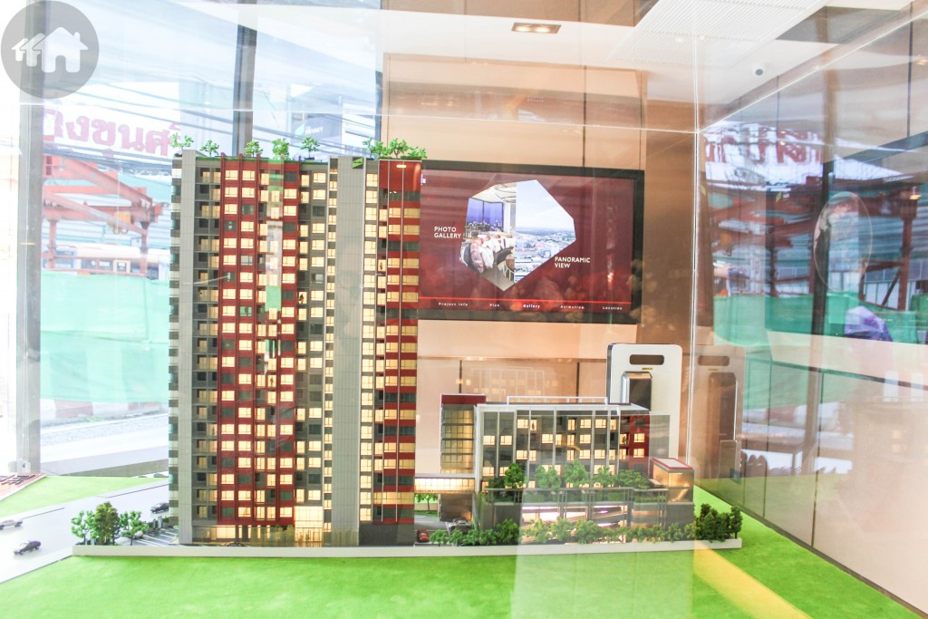 The Tree Charan 30 Project0.1 IMG_0629-001