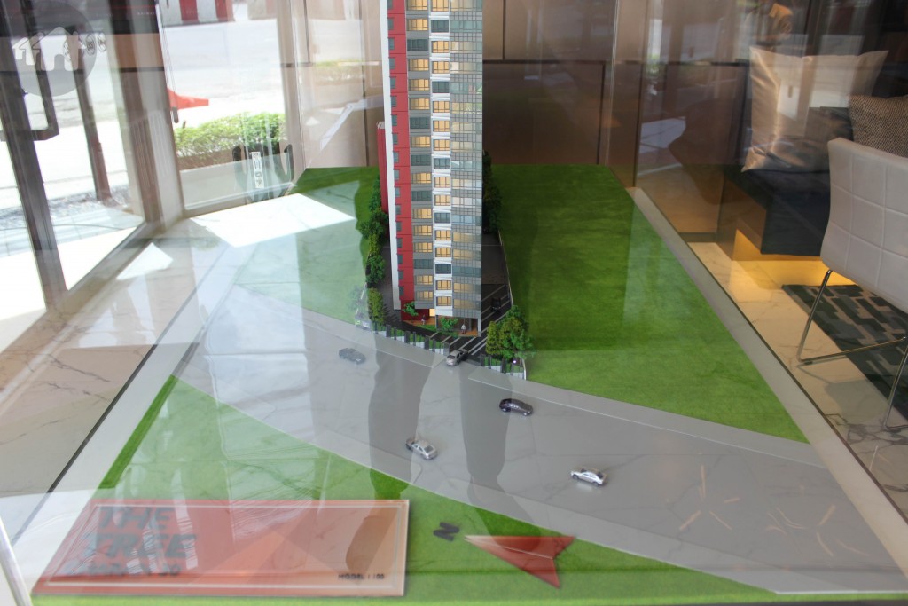 The Tree Charan 30 Project0.3 IMG_0632-003