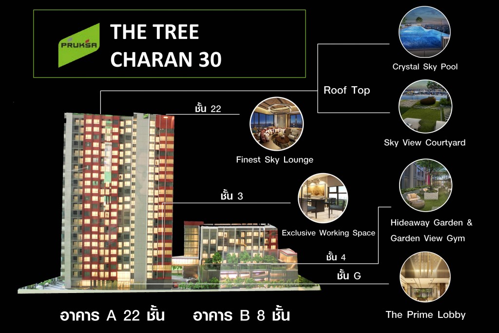 The Tree Charan 30 Project4 IMG_062935325-004