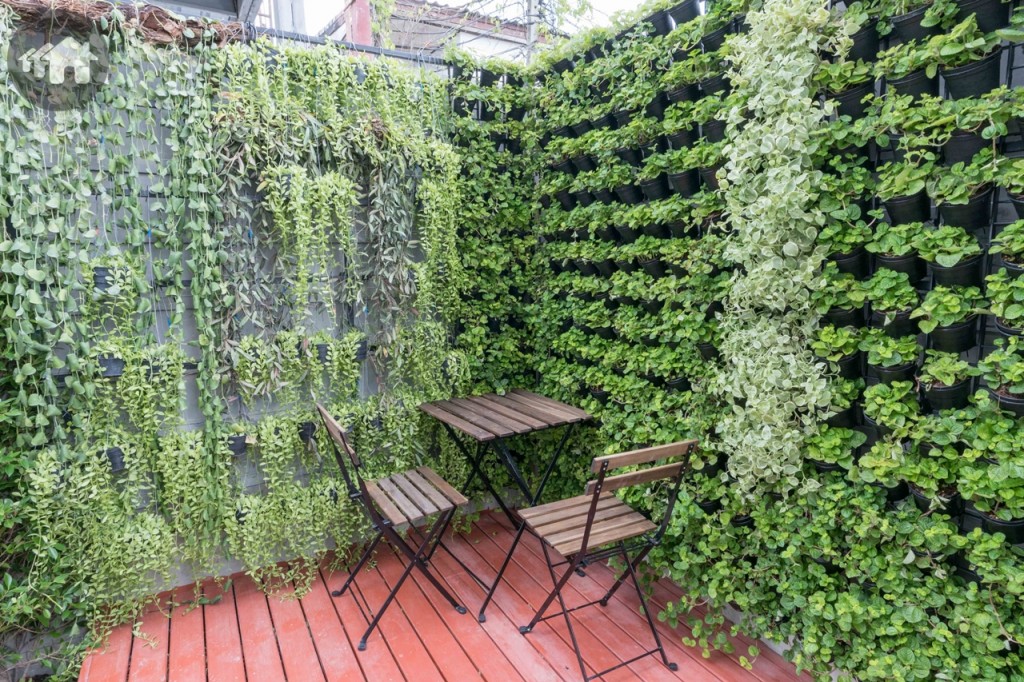 หลังบ้านเป็นพื้นที่นั่งพักผ่อน