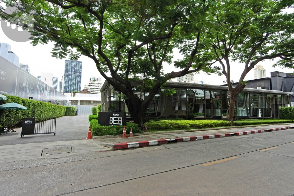 โดยหนึ่งในต้นไม้ใหญ่คือต้นหางนกยูงขนาดใหญ่บริเวณหน้าสำนักงานขายในปัจจุบัน