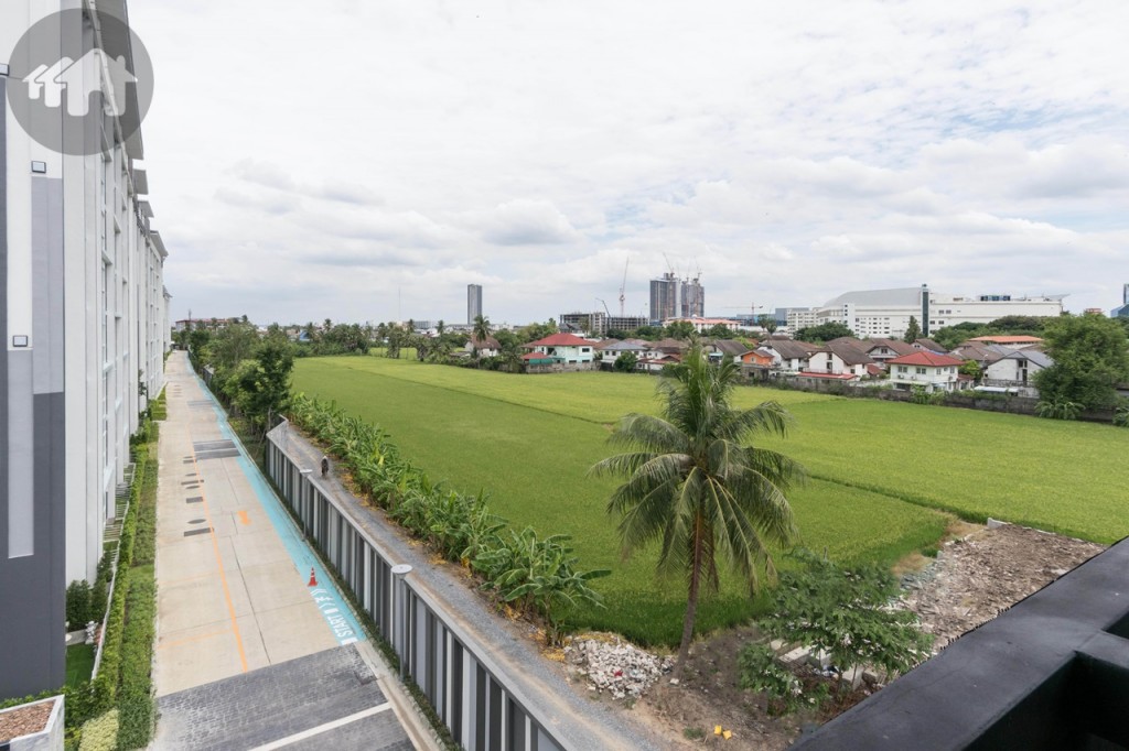 ด้านทิศใต้ติดกับทุ่งนาขนาดใหญ่