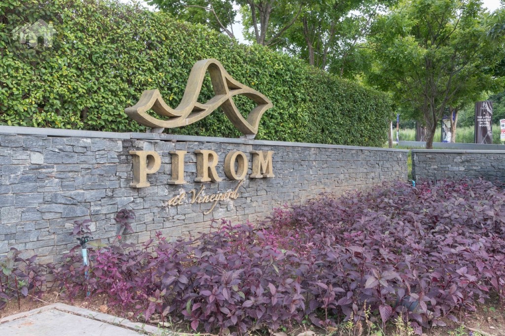 Pirom at Vineyard_021