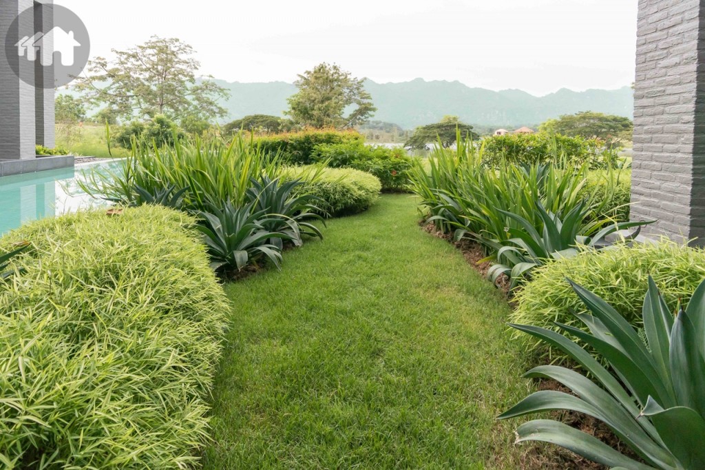 มีทางเดินรายล้อมไปด้วยไม้พุ่ม เชื่อมต่อกับสวนหน้าบ้าน