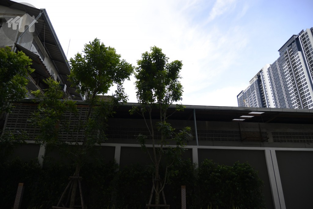 ทิศตะวันออก ติดกับบ้านพักอาศัยและตึกแถว 2 ชั้น ถัดออกไปสามารถมองเห็นตึกโครงการ The Tree Interchange ได้