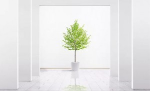  - พรีวิวโครงการใหม่: มิติ ชีวา เกษตร สเตชั่น (Miti Chiva Kaset Station)