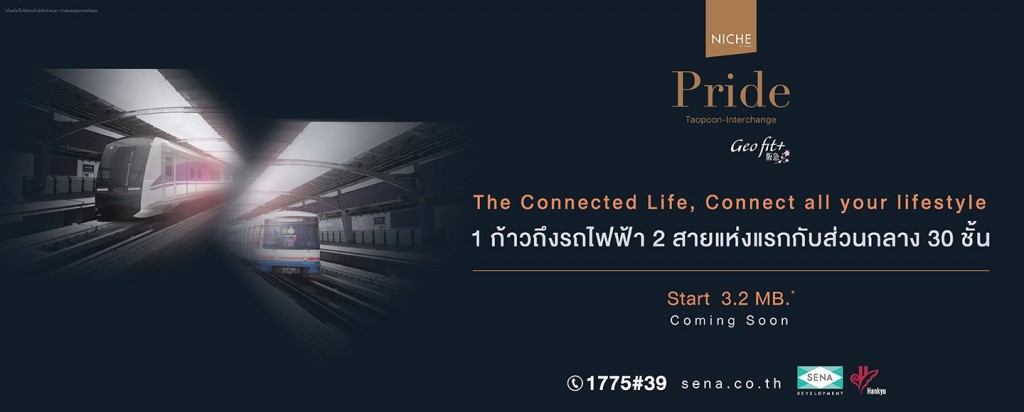 Niche Pride Taopoon (5)