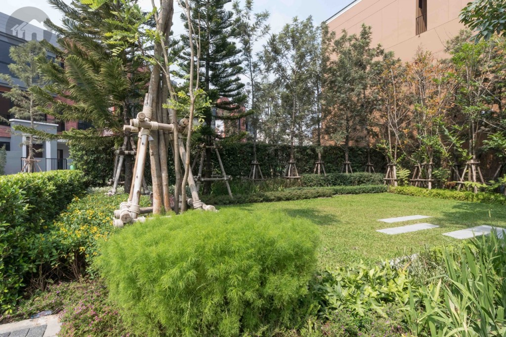 ด้านข้างมีบริเวณพื้นที่สวนส่วนตัวภายในบ้าน