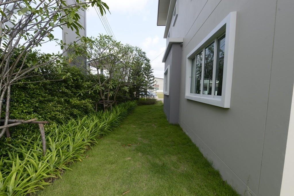 ด้านข้างบ้านมีพื้นที่ สามารถปูหญ้าและปลูกต้นไม้เล็กๆ ได้