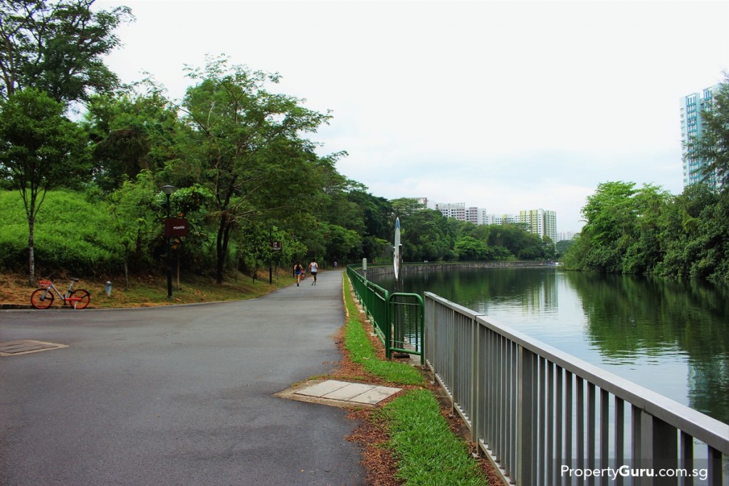 Go jogging but remember your insect repellent