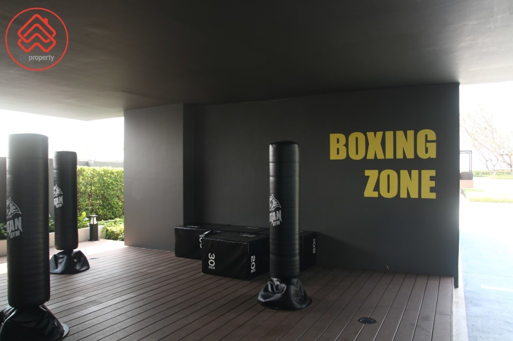 Boxing Zone