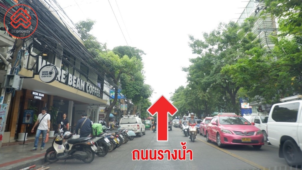 maestro direction 17