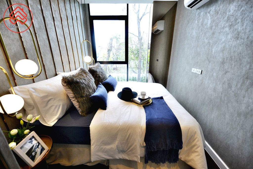 Altitude Symphony CK_(15)