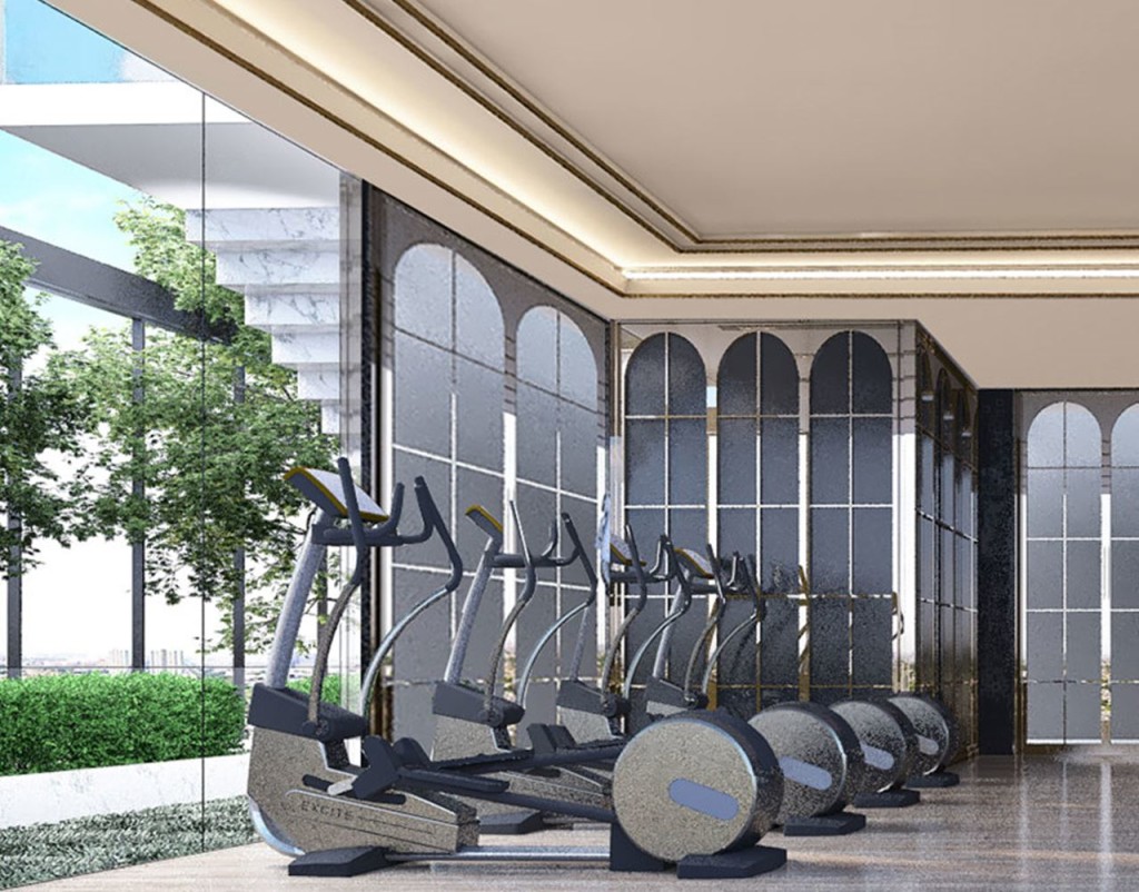 Altitude Symphony CK_fitness