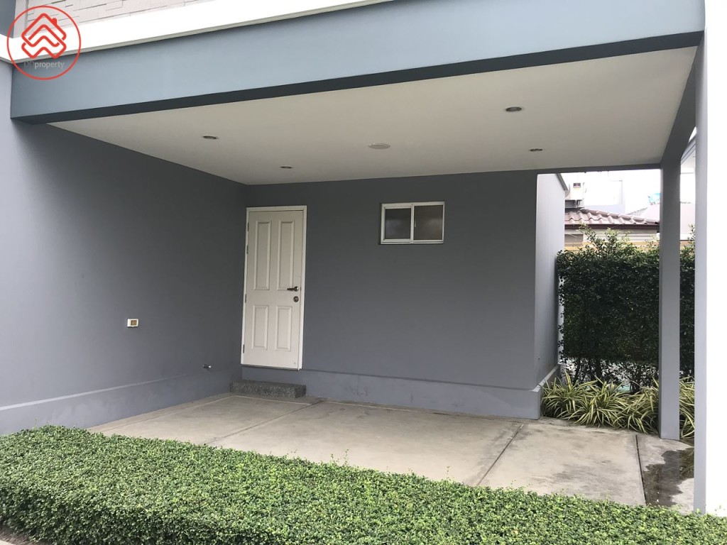 The plant Theparak petitie_4