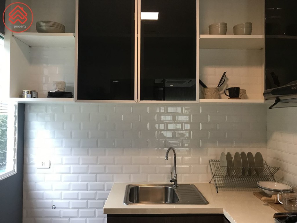 The plant Theparak petitie_47