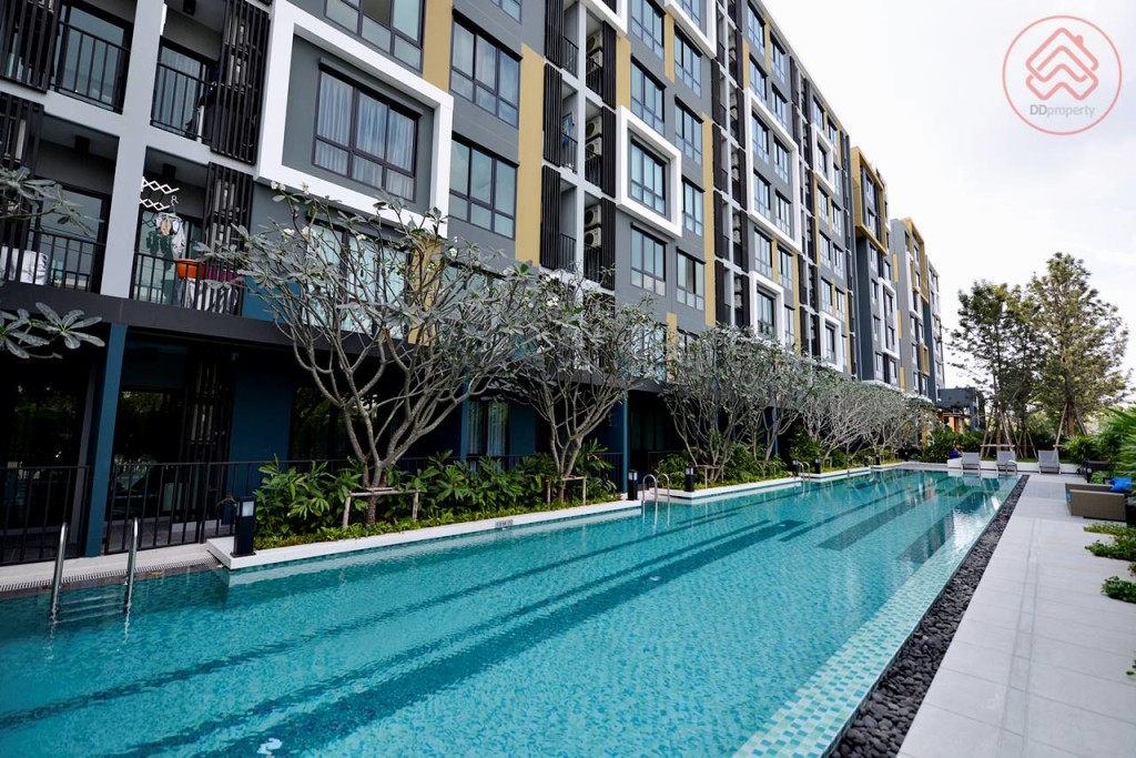 icondo serithai  (94)