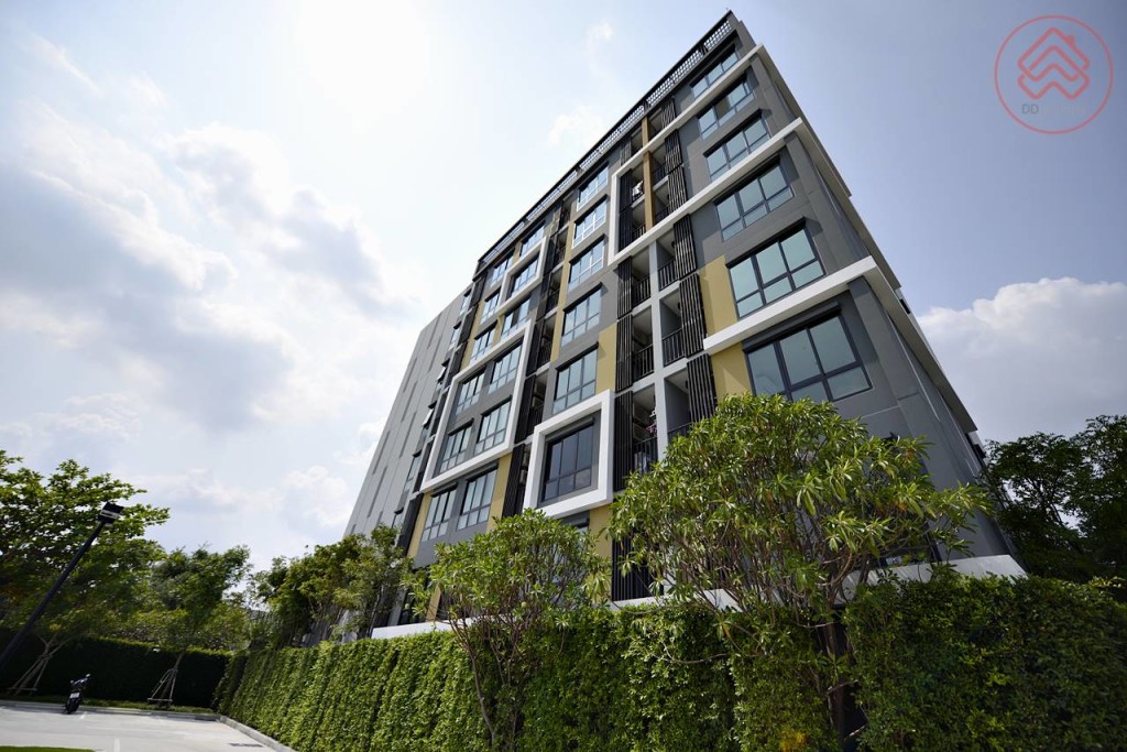 icondo serithai  (97)