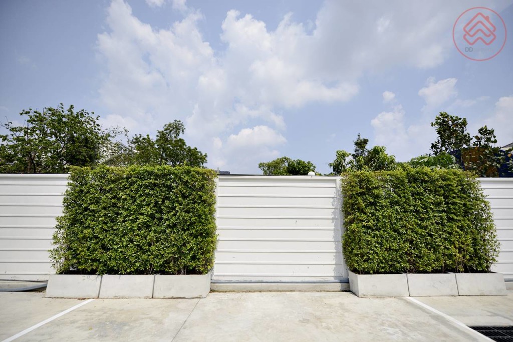 icondo serithai  (98)