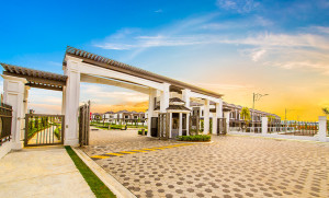 - Eco Summer, Tebrau