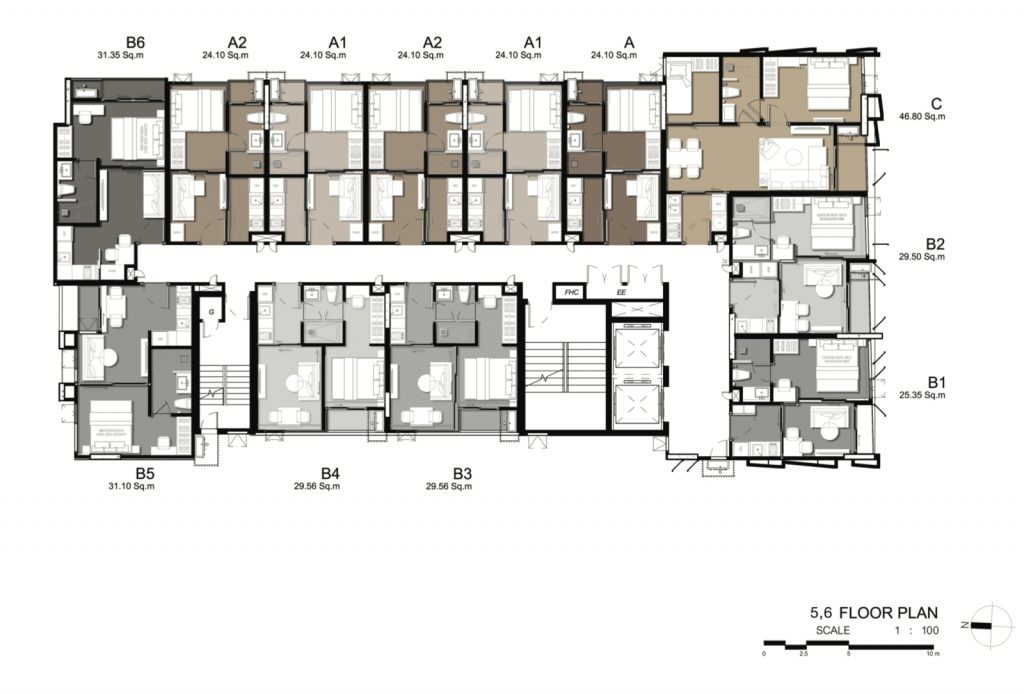 Philo-Ekkamai-6-Plan-4