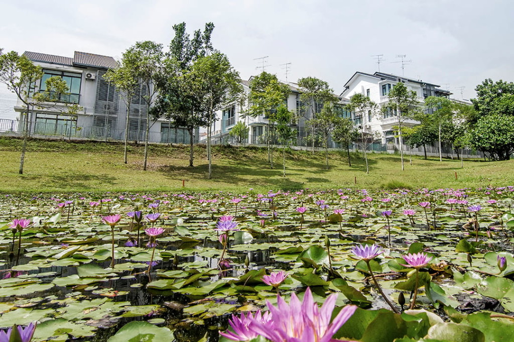 Horizon Hills’ strategic location is its strong selling point as the project is easily accessible