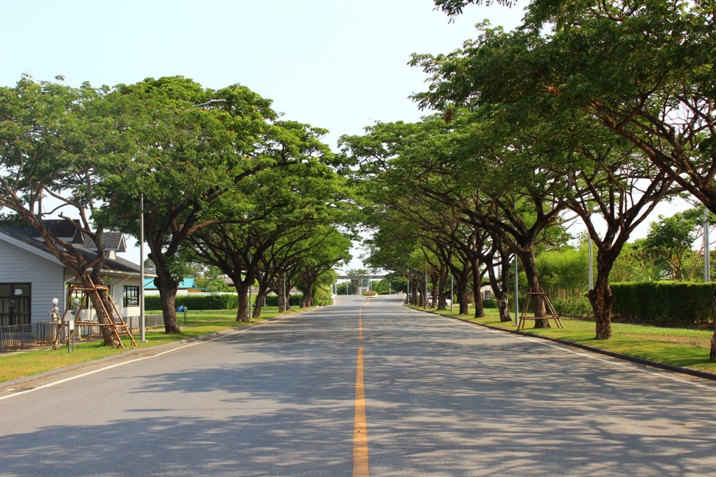 Silverlake-Park-7813