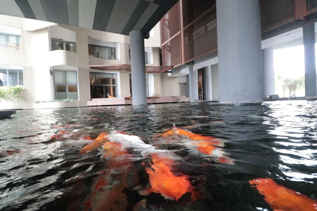 The_Pano_Rama_III_Facility2