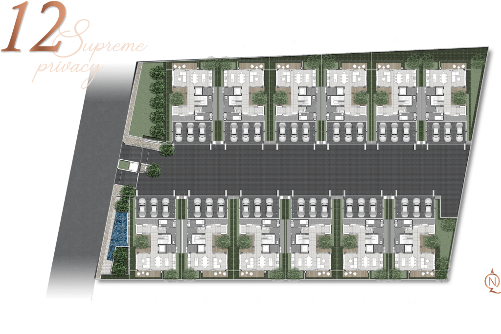 MOTIQUE CHAENGWATTANA1 (1)