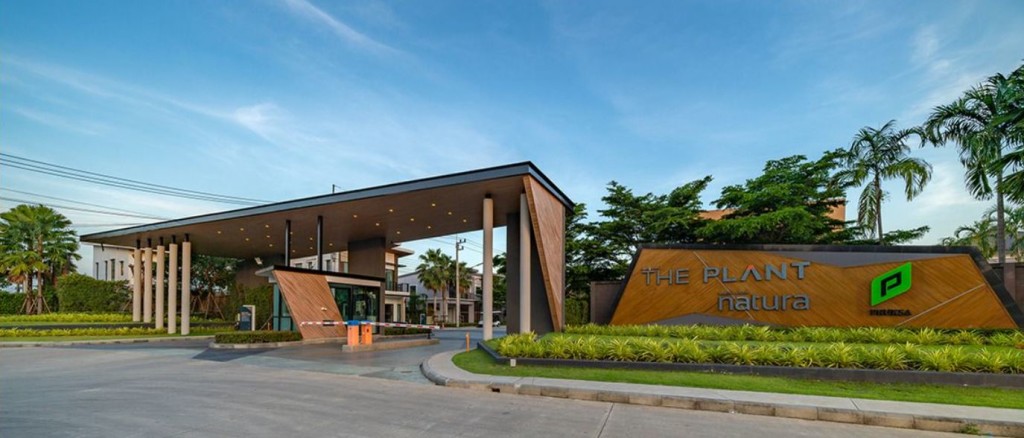 1_The_Plant_and_netura_trend_Wongwaen_Lumlukka_Klong_5