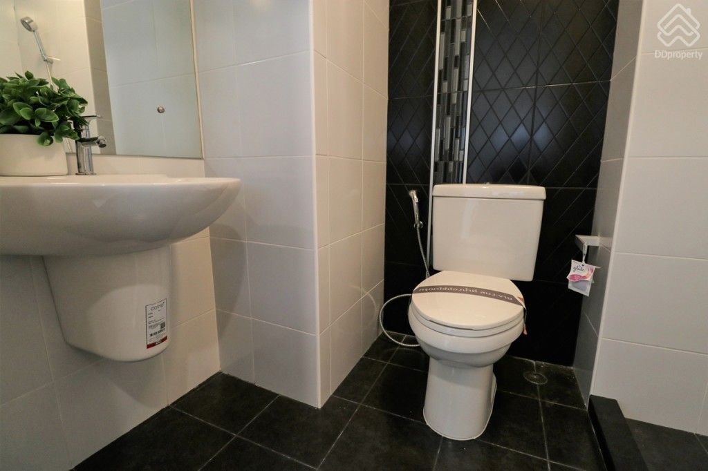 THE_PLANT_and_NATURA_TREND_PINKLAO_SAI_5_EX_HOME_26